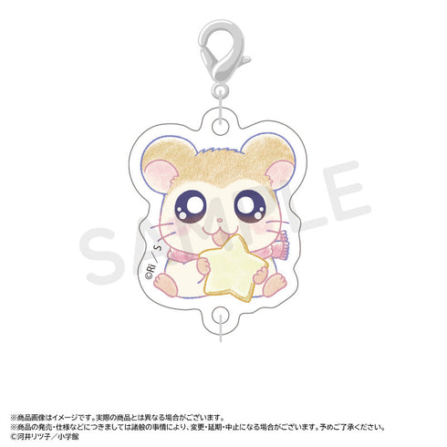 『とっとこハム太郎』~Twinkle Dreams~つながるアクリルチャーム【BOX】